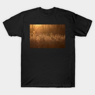 Golden Soybean Field T-Shirt